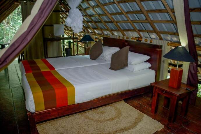 Imagen de la habitación del Hotel Ella Jungle Resort. Foto 26