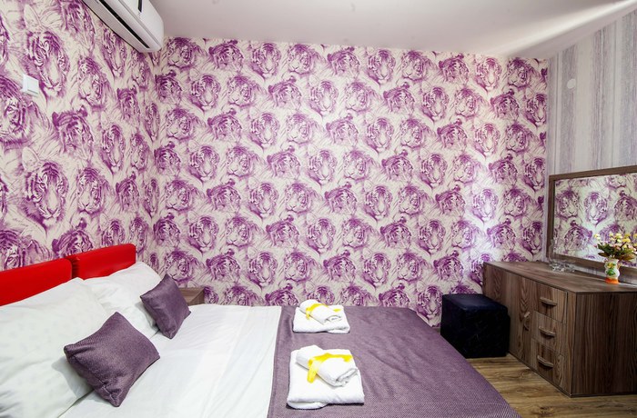 Imagen de la habitación del Hotel Ellegance. Foto 10