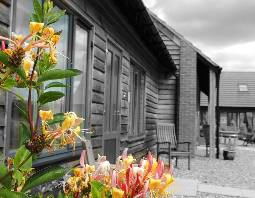 Imagen general del Hotel Elm Tree Farm Accommodation. Foto 4