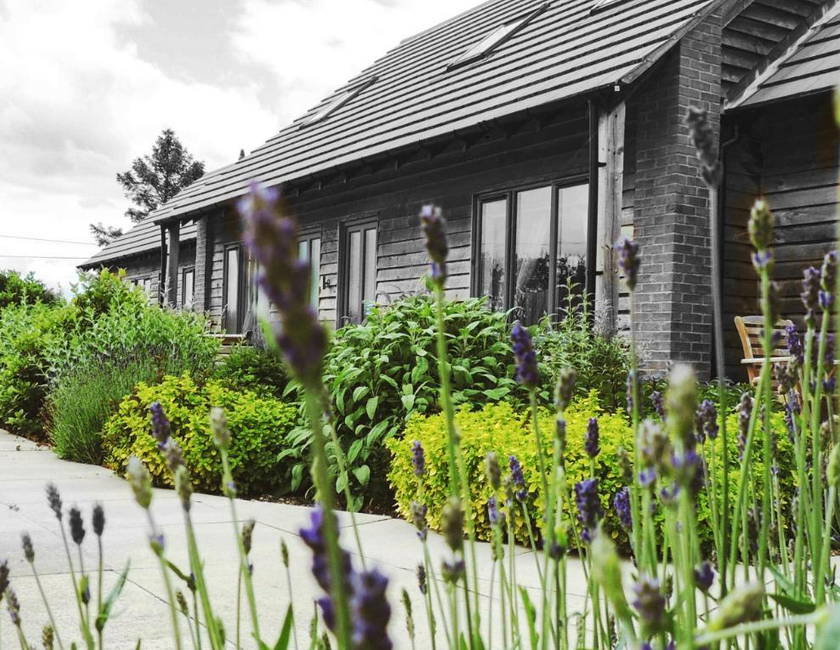 Imagen general del Hotel Elm Tree Farm Accommodation. Foto 13