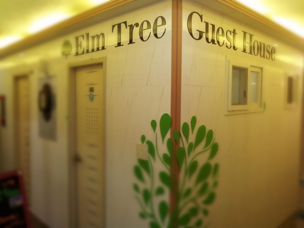 Imagen de los interiores del Hotel Elm Tree Guest House Myeongdong. Foto 19