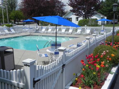 Imagen general del Hotel Elmwood Resort. Foto 1