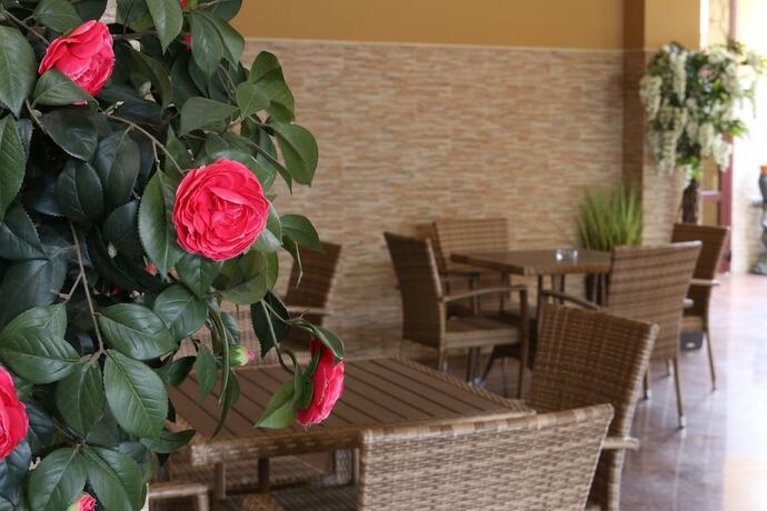 Imagen general del Hotel Elona. Foto 2