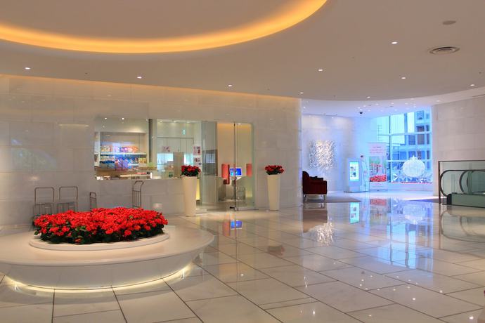 Imagen de los interiores del Hotel Elsereine Osaka. Foto 17