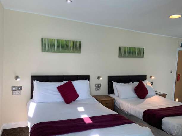 Imagen de la habitación del Hotel Elsinore. Foto 15
