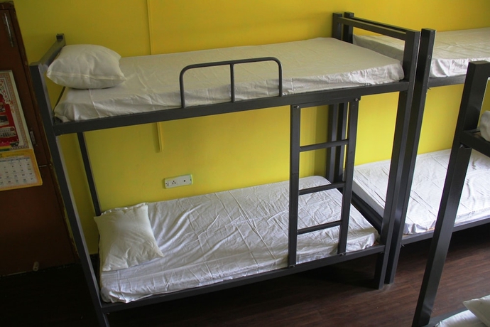 Imagen de la habitación del Hotel Eltravo Hostel Udaipur. Foto 4
