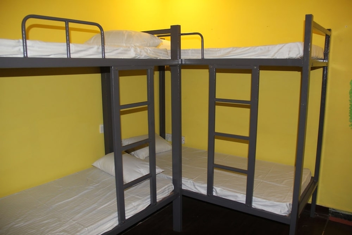 Imagen de la habitación del Hotel Eltravo Hostel Udaipur. Foto 5
