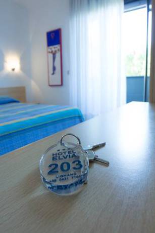 Imagen general del Hotel Elvia, Lignano Sabbiadoro. Foto 1