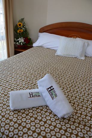 Imagen de la habitación del Hotel Elvita Spa. Foto 6