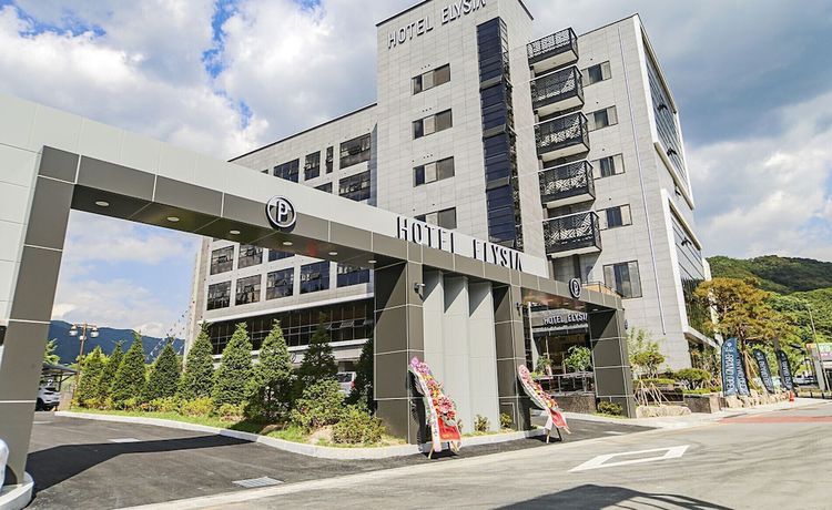 Imagen general del Hotel Elysia Daegu. Foto 1