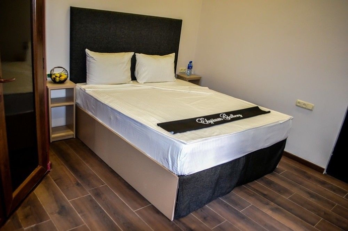 Imagen de la habitación del Hotel Elysium Gallery. Foto 3