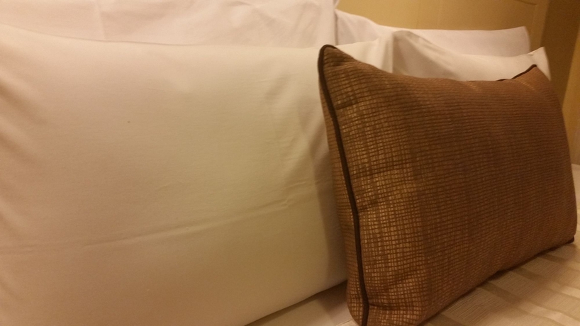 Imagen de la habitación del Hotel Embajadores, LIMA. Foto 10