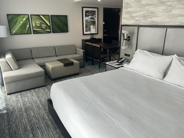 Imagen de la habitación del Hotel Embassy Suites By Hilton Alpharetta Halcyon. Foto 15