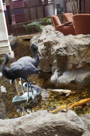 Imagen de los exteriores del Hotel Embassy Suites By Hilton Atlanta Buckhead. Foto 5