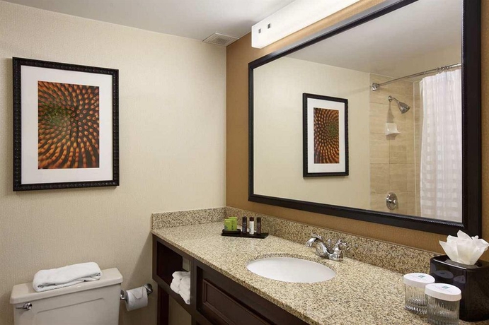 Imagen de la habitación del Hotel Embassy Suites By Hilton Atlanta Perimeter Center. Foto 5