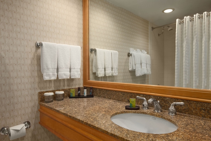 Imagen de la habitación del Hotel Embassy Suites By Hilton Chicago O'hare Rosemont. Foto 7