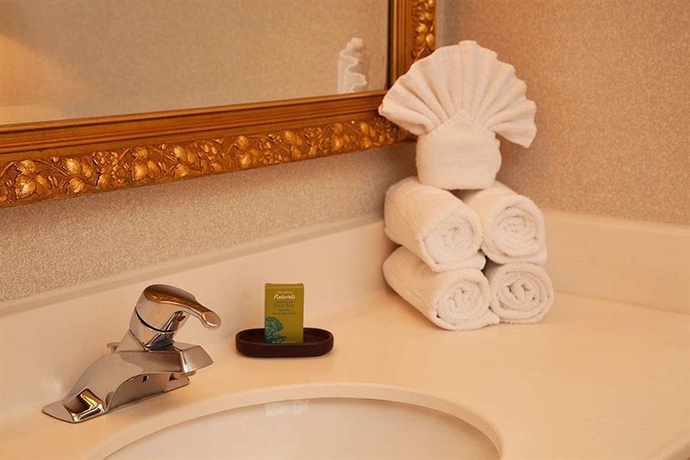 Imagen de la habitación del Hotel Embassy Suites By Hilton Chicago Schaumburg Woodfield. Foto 5