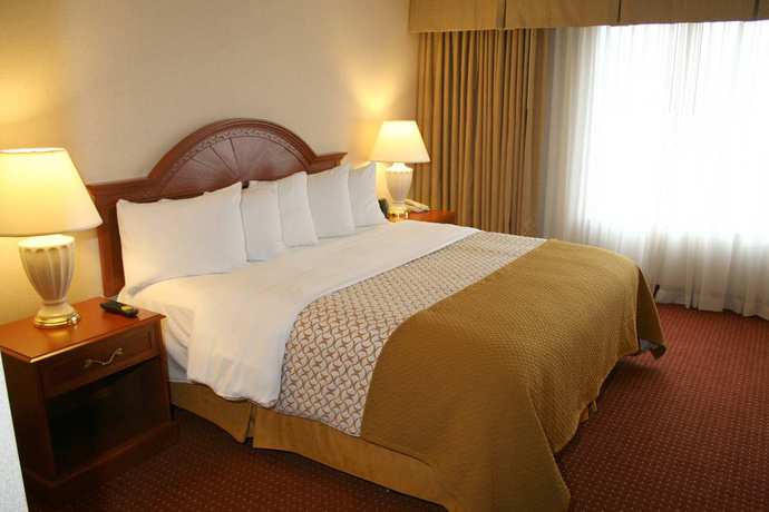 Imagen de la habitación del Hotel Embassy Suites By Hilton Columbus Dublin. Foto 6
