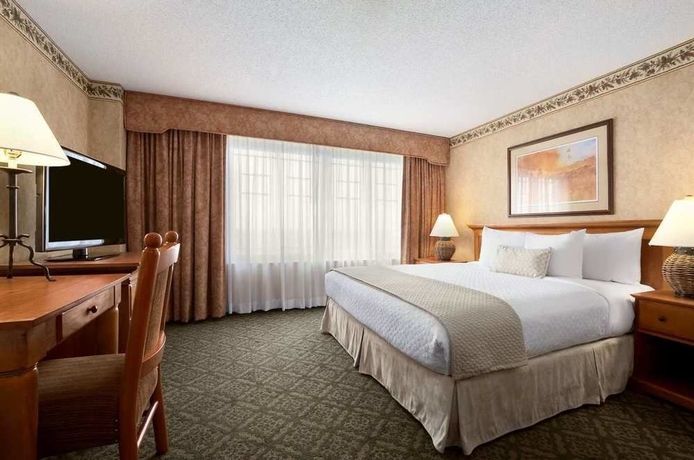 Imagen de la habitación del Hotel Embassy Suites By Hilton Dallas Dfw Airport North. Foto 5