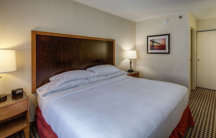 Imagen de la habitación del Hotel Embassy Suites By Hilton Detroit Metro Airport. Foto 2