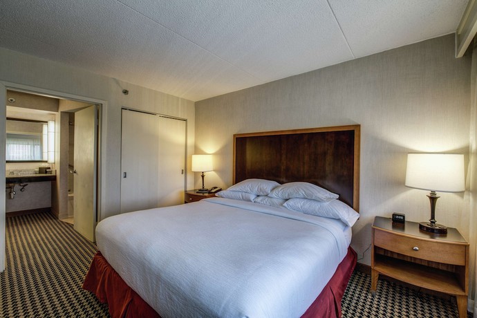 Imagen de la habitación del Hotel Embassy Suites By Hilton Detroit Metro Airport. Foto 10