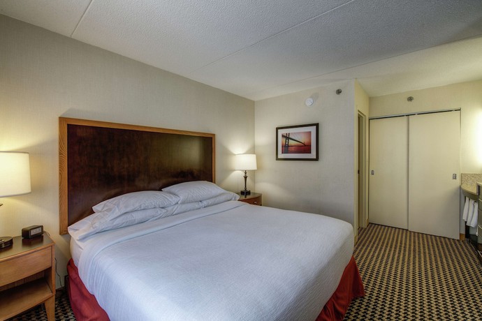 Imagen de la habitación del Hotel Embassy Suites By Hilton Detroit Metro Airport. Foto 12