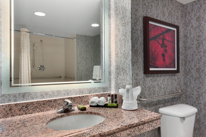 Imagen de la habitación del Hotel Embassy Suites By Hilton Dulles Airport. Foto 7