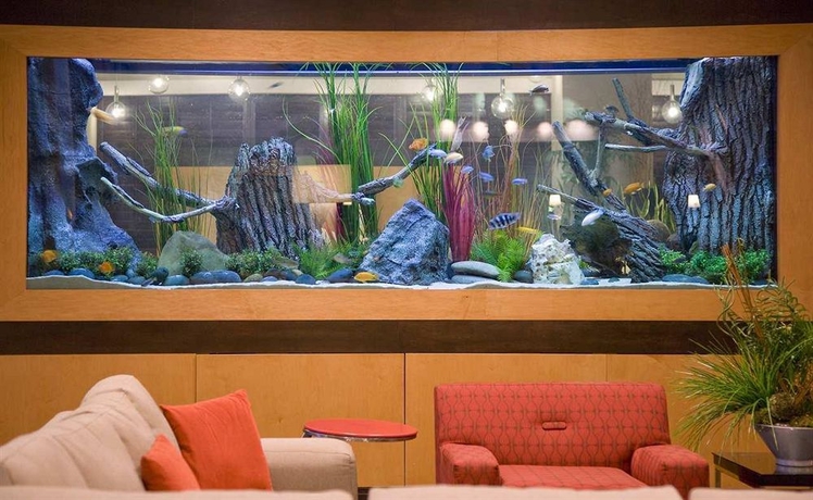 Imagen de los interiores del Hotel Embassy Suites By Hilton Houston Energy Corridor. Foto 9