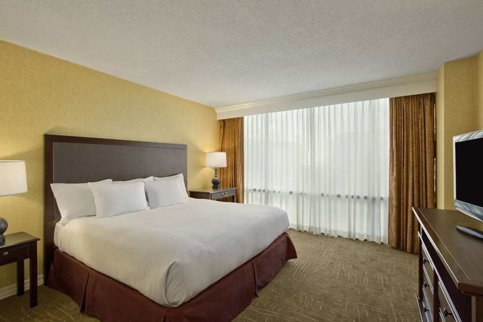 Imagen de la habitación del Hotel Embassy Suites By Hilton Lexington Green. Foto 5