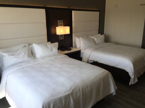 Imagen de la habitación del Hotel Embassy Suites By Hilton Noblesville Indianapolis Convention Center. Foto 2