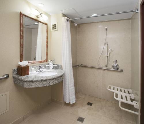 Imagen de la habitación del Hotel Embassy Suites By Hilton San Marcos Conference Center. Foto 7