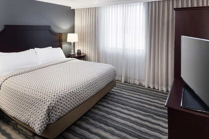 Imagen de la habitación del Hotel Embassy Suites By Hilton Tampa Brandon. Foto 6