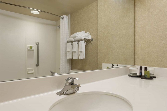 Imagen de la habitación del Hotel Embassy Suites By Hilton Tampa Usf Near Busch Gardens. Foto 6