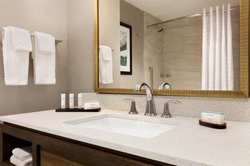 Imagen de la habitación del Hotel Embassy Suites By Hilton Wilmington Riverfront. Foto 1