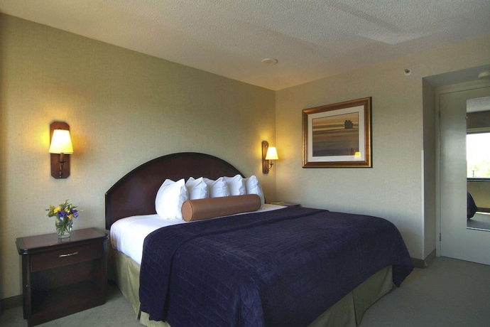 Imagen de la habitación del Hotel Embassy Suites Charlotte. Foto 8