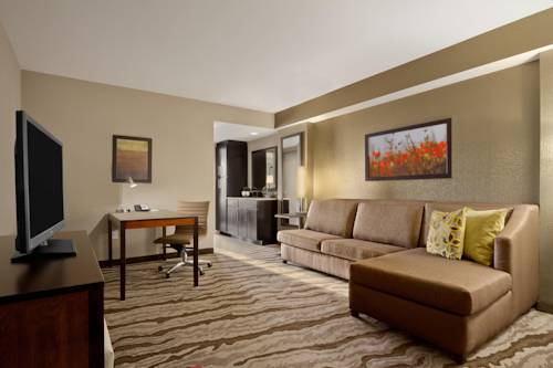 Imagen de la habitación del Hotel Embassy Suites Chattanooga Hamilton Place. Foto 6