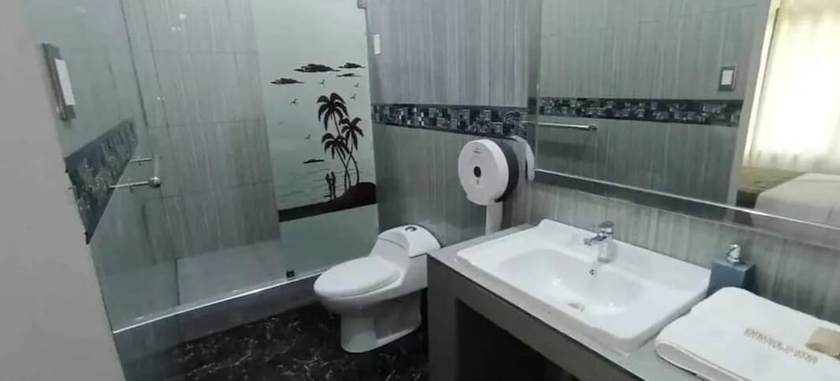 Imagen de la habitación del Hotel Embassy Suites. Foto 15