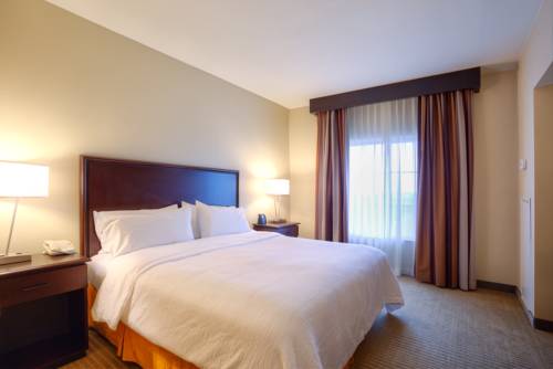 Imagen de la habitación del Hotel Embassy Suites Laredo. Foto 3