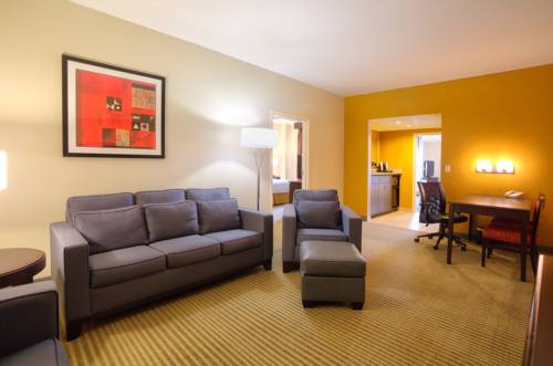 Imagen de la habitación del Hotel Embassy Suites Laredo. Foto 4