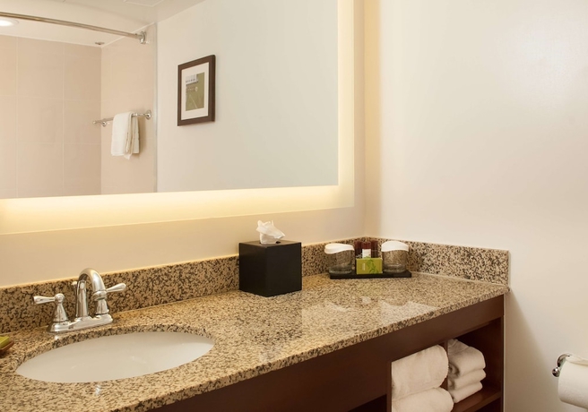 Imagen de la habitación del Hotel Embassy Suites Nashville - Airport. Foto 8