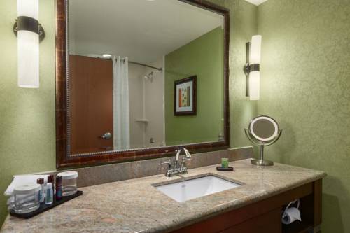 Imagen de la habitación del Hotel Embassy Suites Omaha-la Vista/hotel and Conference Center. Foto 5