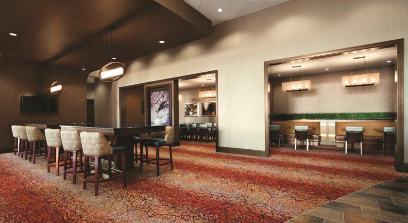 Imagen general del Hotel Embassy Suites Springfield. Foto 7