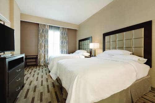Imagen de la habitación del Hotel Embassy Suites Tuscaloosa Alabama Downtown. Foto 3