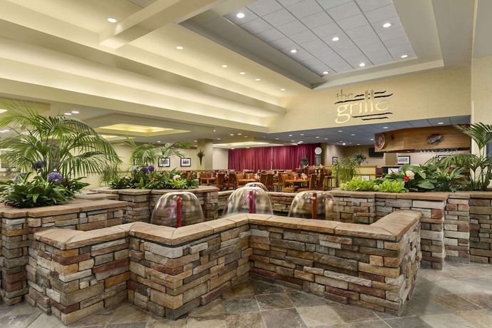 Imagen de los interiores del Hotel Embassy Suites Winston-salem. Foto 18