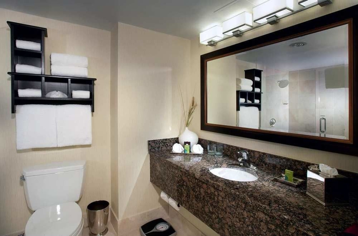 Imagen de la habitación del Hotel Embassy Suites by Hilton Chicago Downtown River North. Foto 2