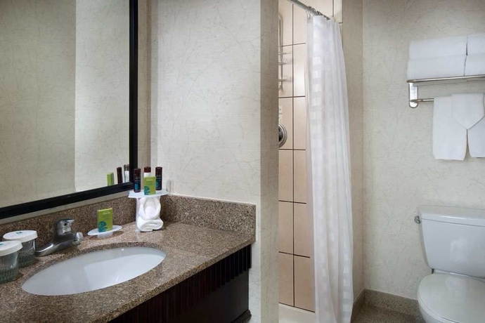 Imagen de la habitación del Hotel Embassy Suites by Hilton Chicago Downtown River North. Foto 4