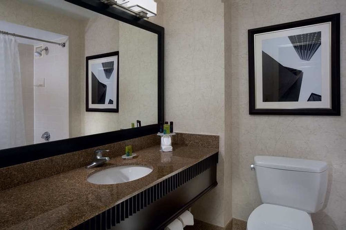 Imagen de la habitación del Hotel Embassy Suites by Hilton Chicago Downtown River North. Foto 6