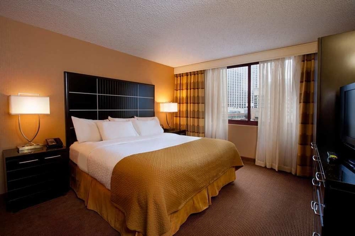 Imagen de la habitación del Hotel Embassy Suites by Hilton Chicago Downtown River North. Foto 7
