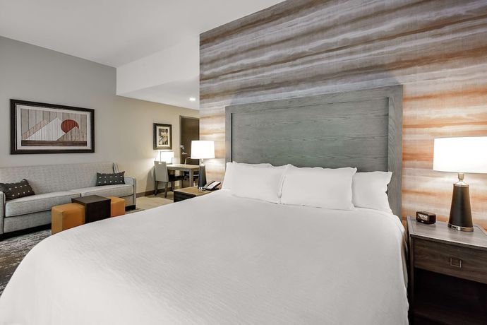 Imagen de la habitación del Hotel Embassy Suites by Hilton Jonesboro Red Wolf Convention Center. Foto 8