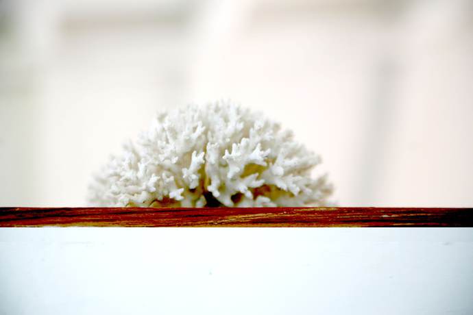 Imagen de la habitación del Hotel Emblemático Casa Casilda. Foto 15